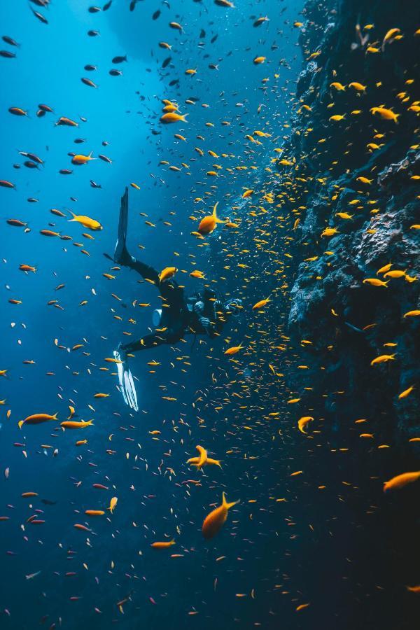 Dpm Koh Tao Diving Hotel & Bar Zewnętrze zdjęcie